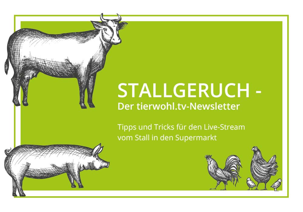 Stallgeruch - Der tierwohl.tv-Newsletter